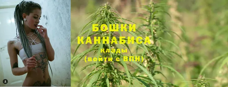 kraken как зайти  Лосино-Петровский  Каннабис White Widow 